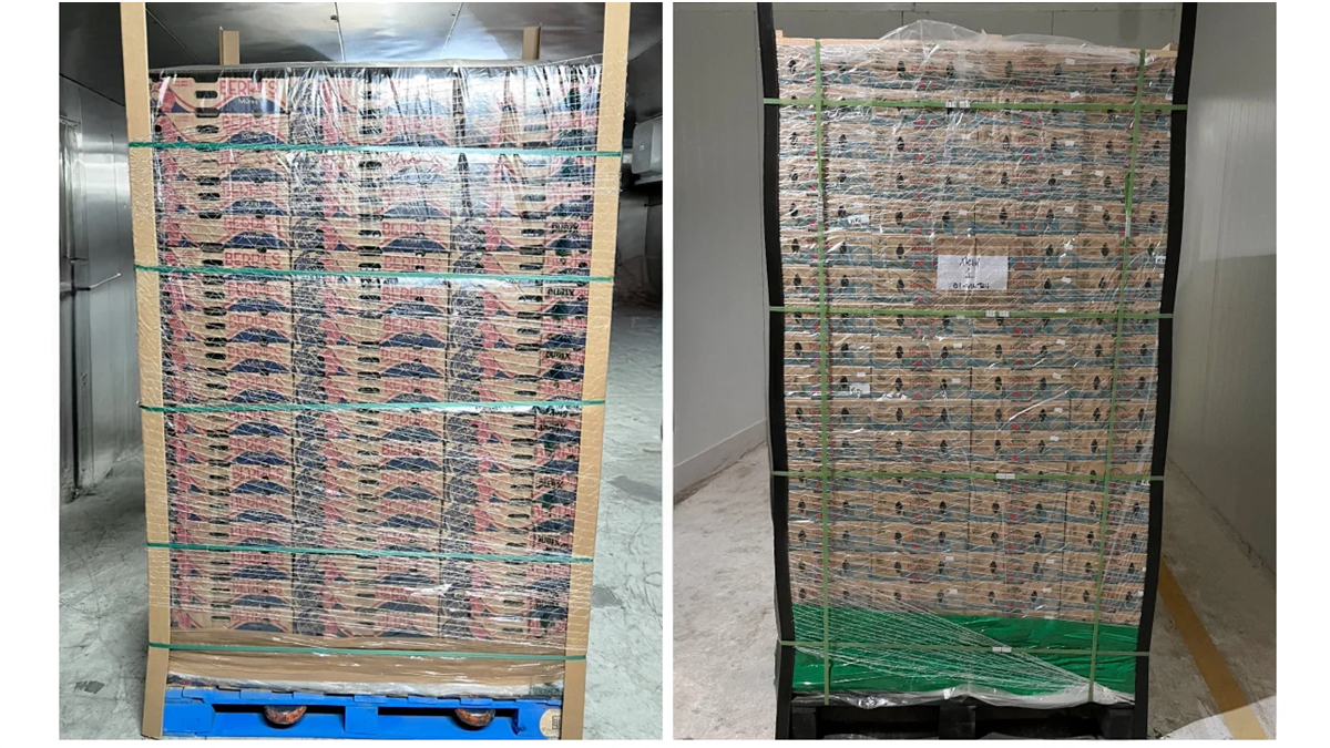 StePacPPC’s Pallet - Shrouds Preserve Produce Freshness All the Way to Retail.png